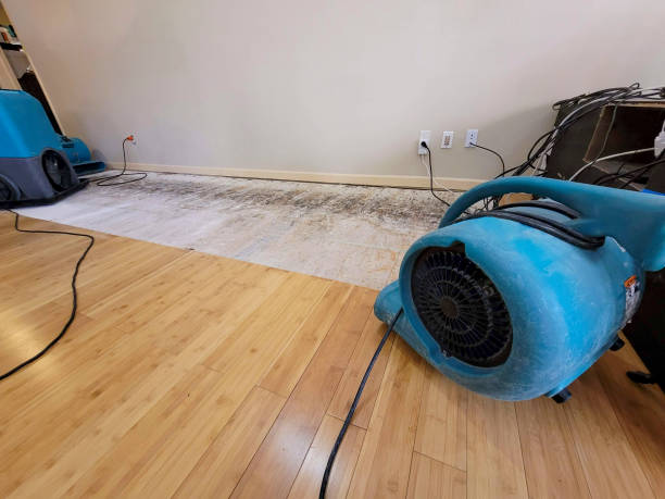 Professional Water Damage Repair technician working in Karns City, PA